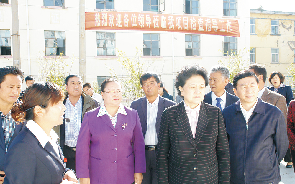 时任中央政治局委员，，，国务院副总理、党组成员刘延东视察湖北尊龙凯时集团青海项目部